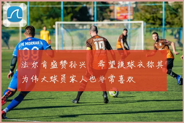 法尔肯盛赞孙兴慜希望换球衣称其为伟大球员家人也非常喜欢