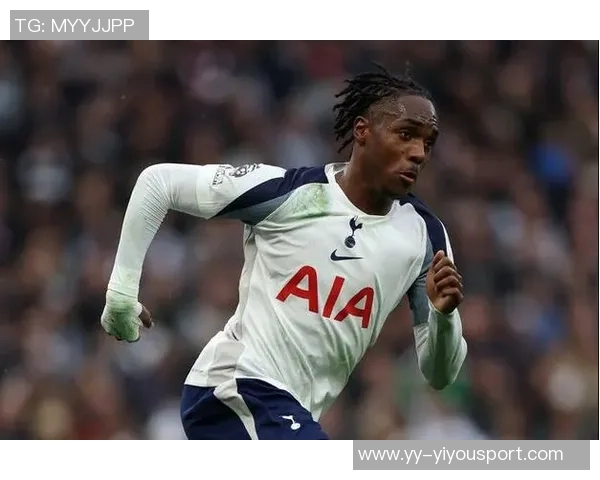 记者评论热刺转会策略称弗兰克关注伊万托尼不解为何引进特尔